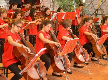 Corsi di violino e violoncello