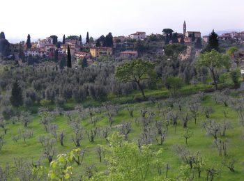 Fiesole che guarda l’Arno