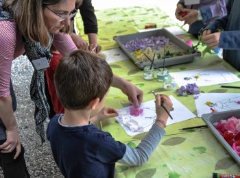 I laboratori sul fiore