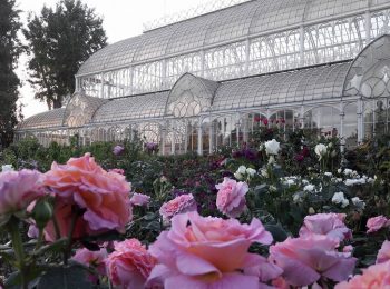 Mostra primaverile di piante e fiori 2018