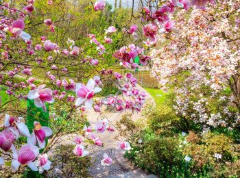 Primavera ai Giardini