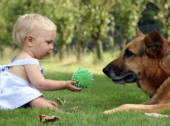 Giochiamo con fido