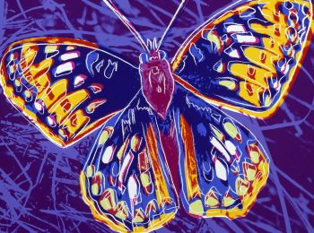 Animali d’artista: Andy Warhol, ali di farfalla