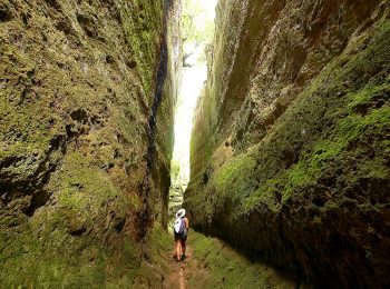 Sulla Costa degli Etruschi in Toscana: alla scoperta delle antiche civiltà