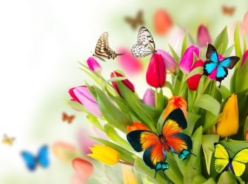 Festa di primavera