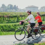 GG verde natura italia