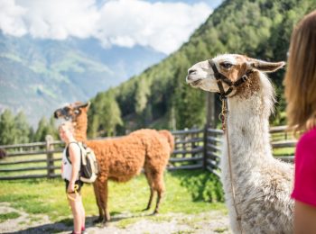 Estate per bambini 2018 a Lana