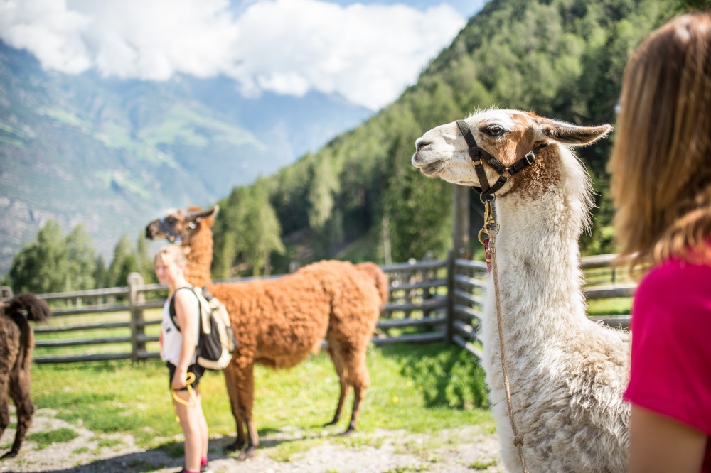 GG estate per bambini 2018 a lana