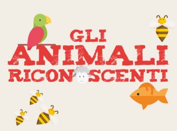 Gli animali riconoscenti e Sonini rari
