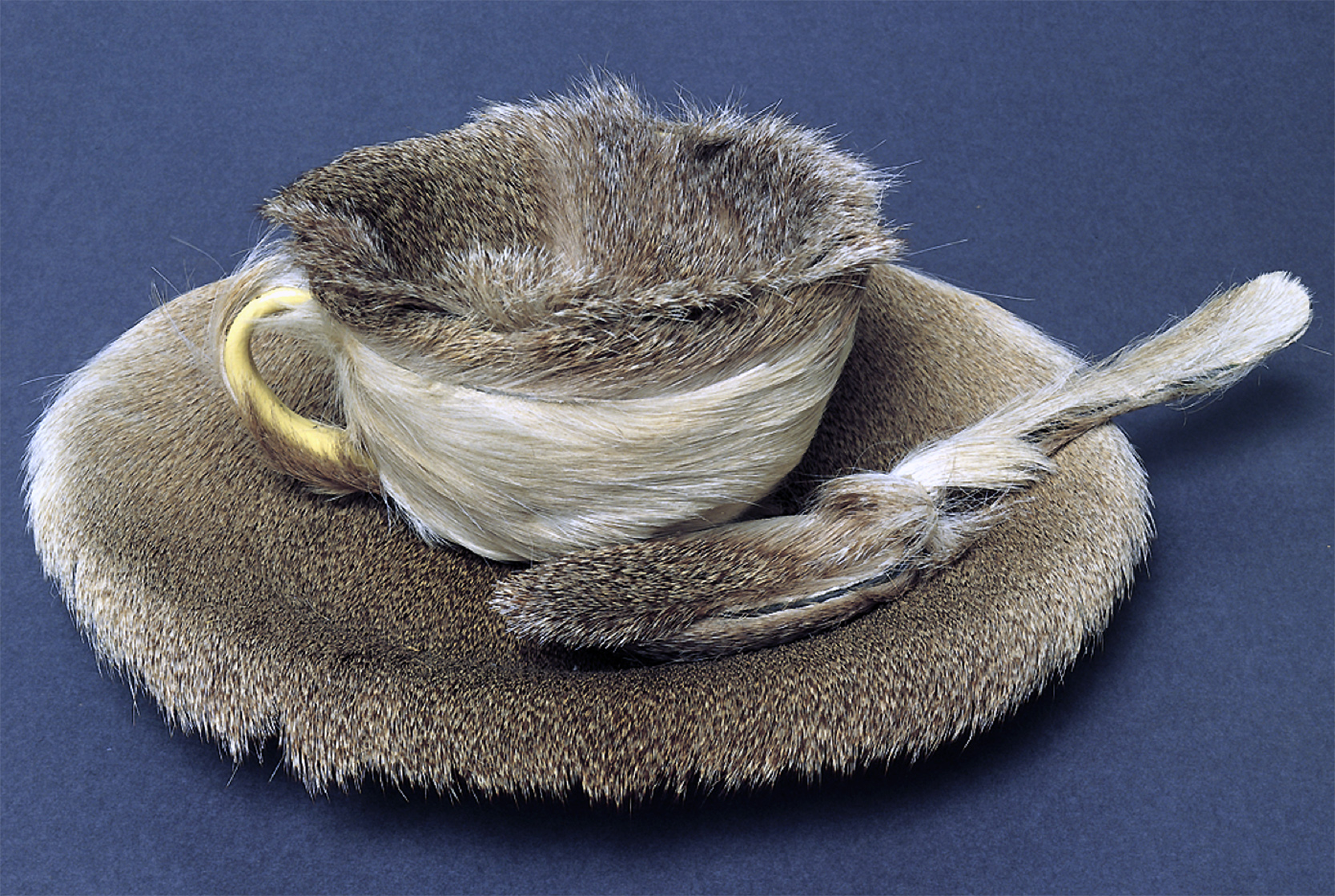 Le donne artiste: Meret Oppenheim