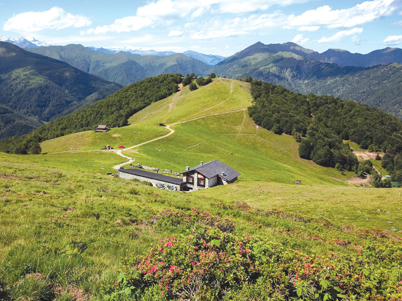 GG oasi zegna nel biellese montagna dei bambini3