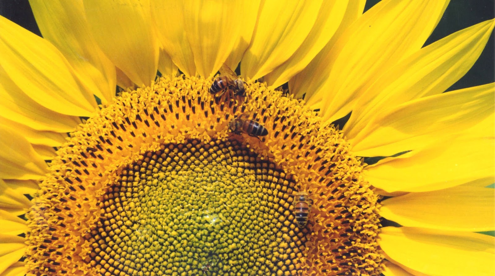 Welcome to the Botanic Gardens 2018