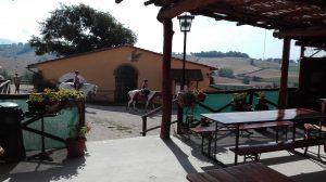 Cavalli_Toscana Ranch