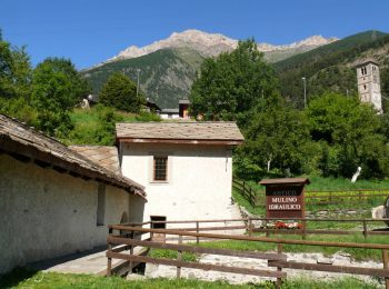 Giornata del Patrimonio archeologico della Valle di Susa
