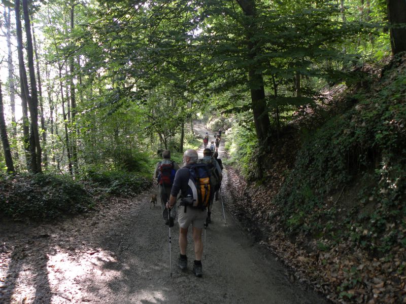 GG 29 sett tra le verdi colline marentinesi