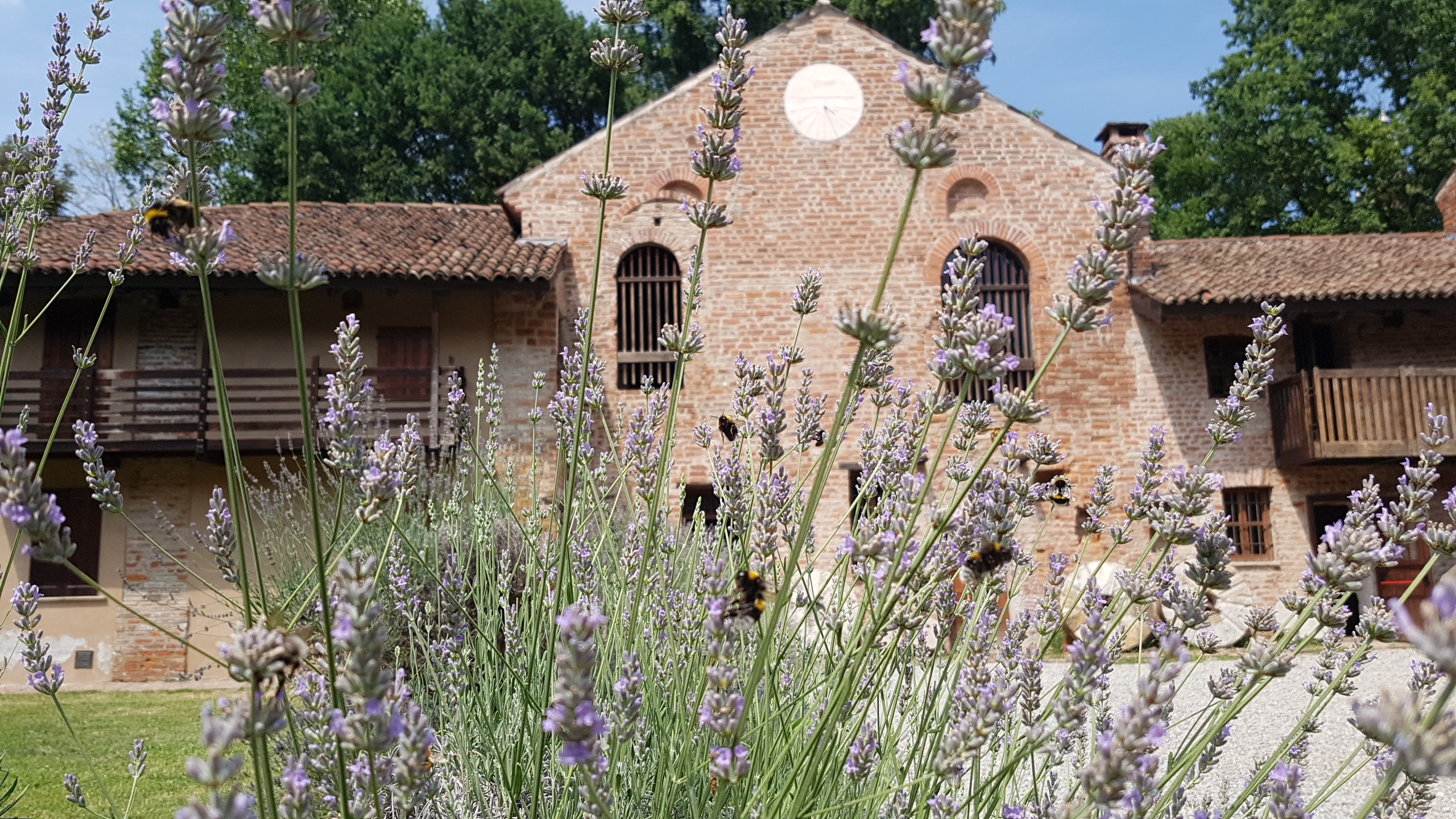 Campus al Mulino di Chiaravalle 2019