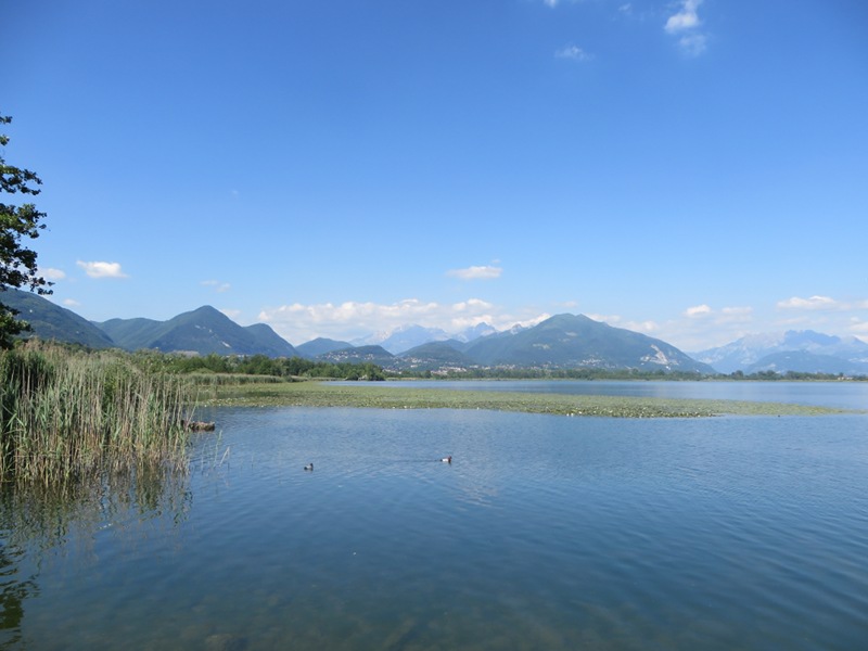 Domenica sul lago di Alserio