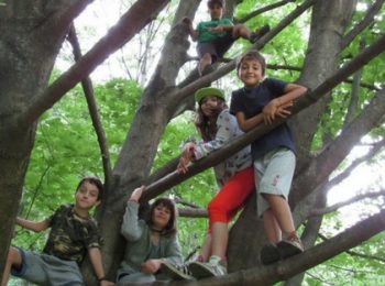 Mini-campo trekking