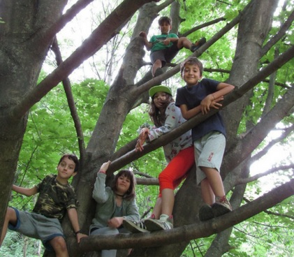 Mini-campo trekking