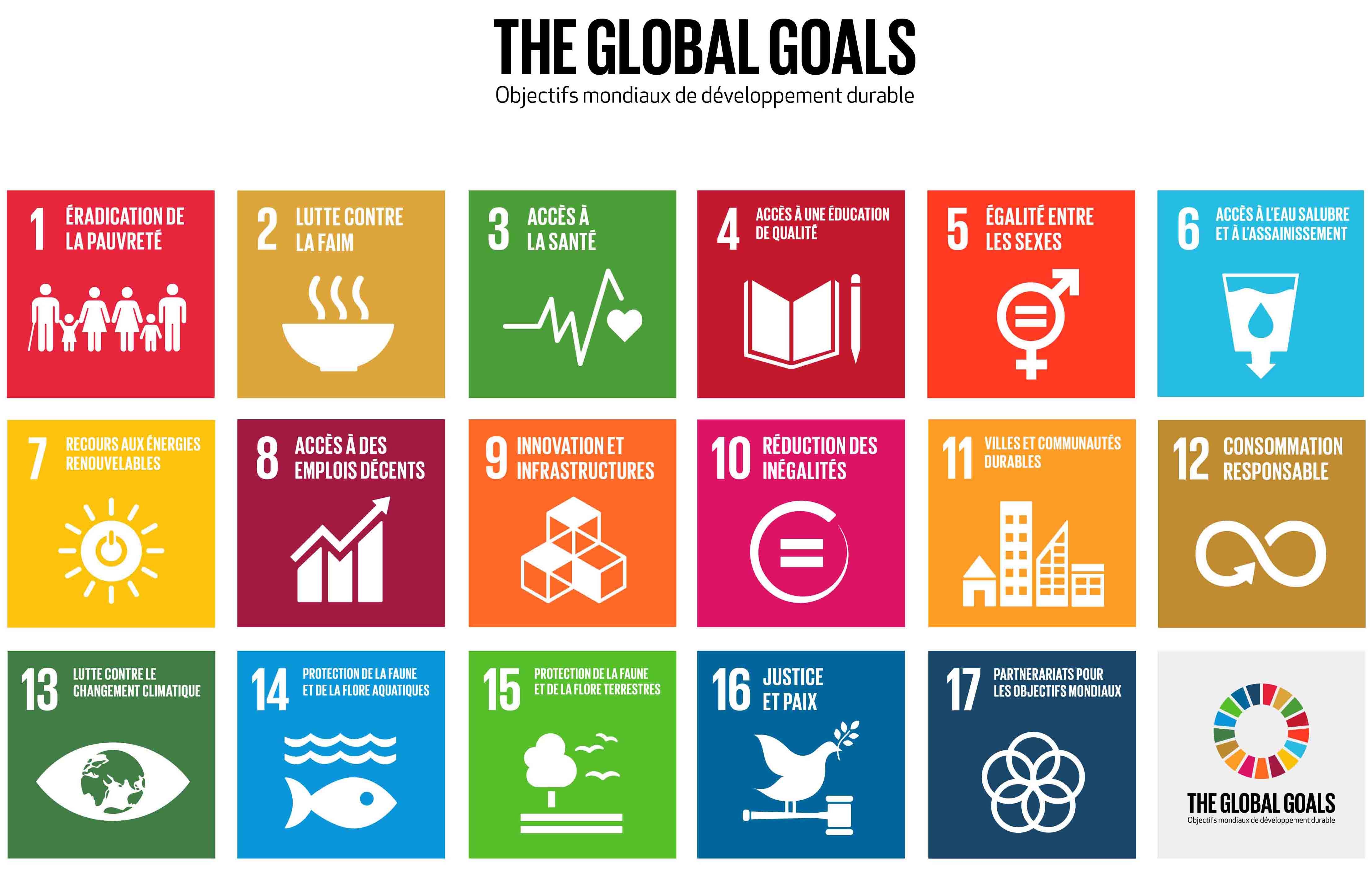 Agenda 2030 un gioco ci avvicina al mondo sostenibile e inclusivo