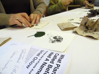Libera Scuola del Giardino