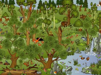 Letture di tutte le forme e colori e Kids into the wild!