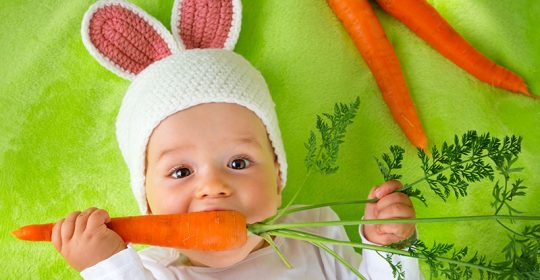 svezzamento vegetariano