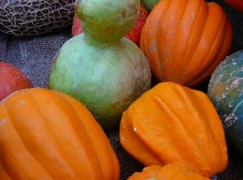 Fiera regionale della Zucca
