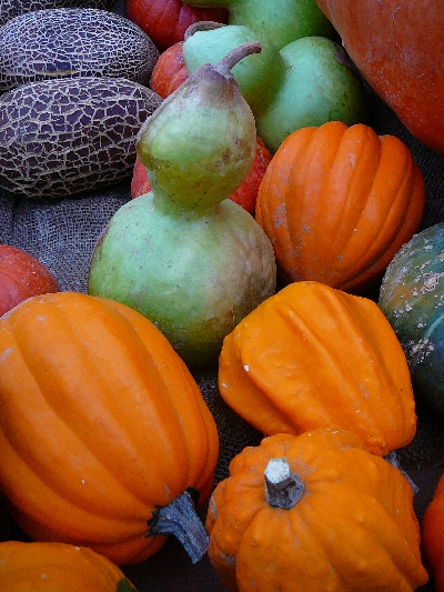 Fiera regionale della Zucca