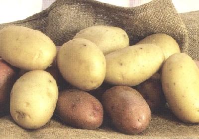 GG 6 ott sagra della patata