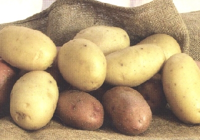 Sagra della Patata