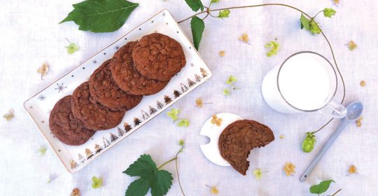 GG cookies al doppio cioccolato