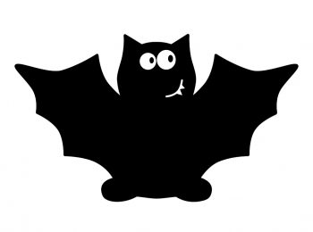 Pipistrellata