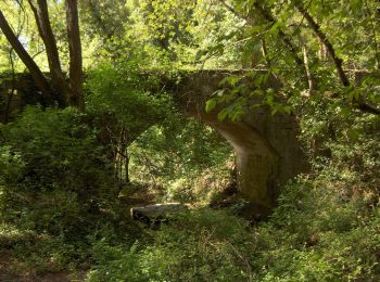 Su e giù per la Valle dell’Arno… e non solo
