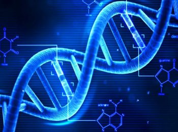 Tutti i numeri del DNA