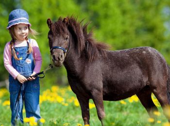 A spasso con i pony