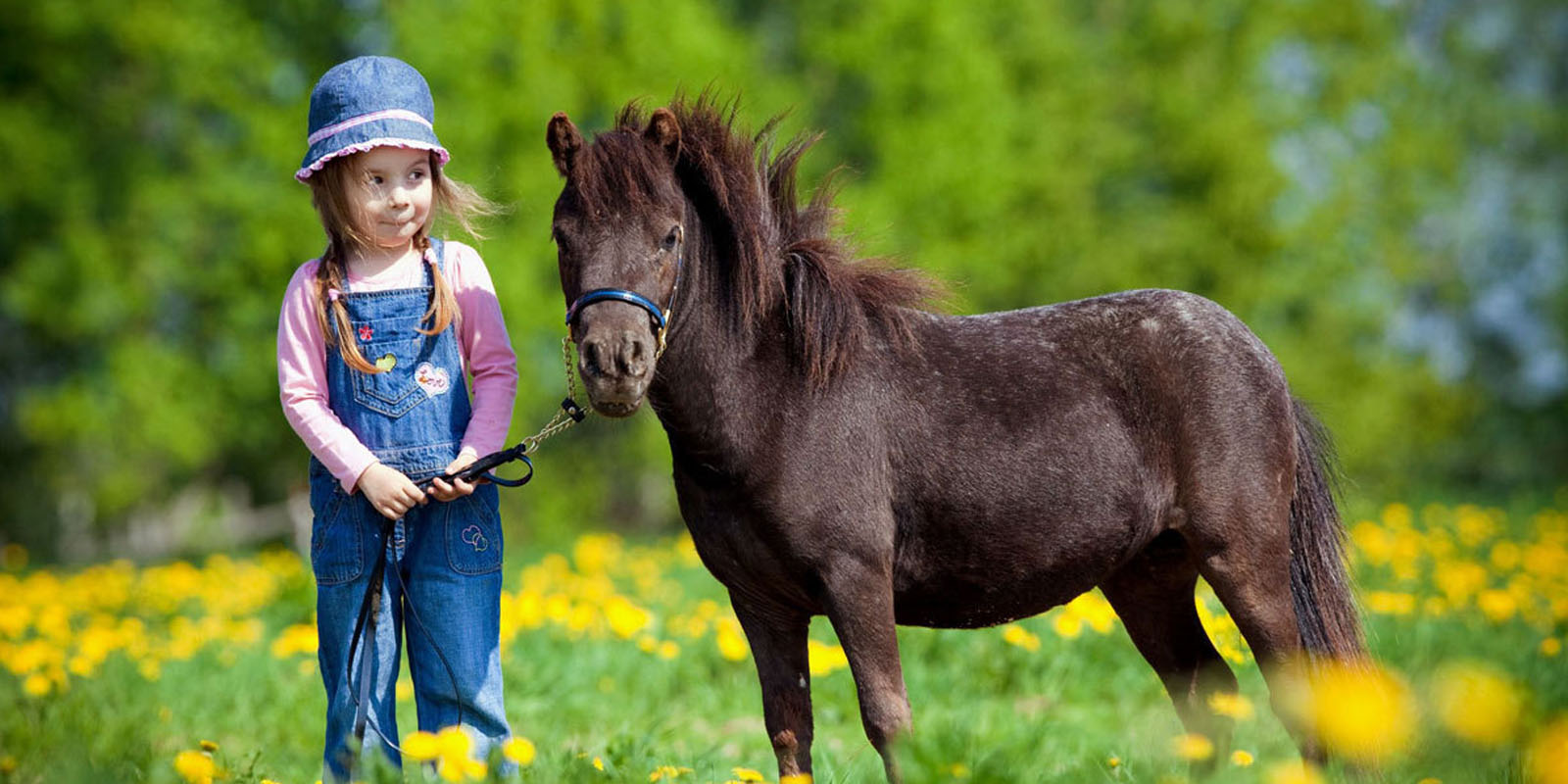 A spasso con i pony