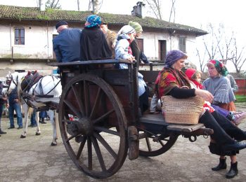 Eventi di San Martino in fattoria, nel Milanese