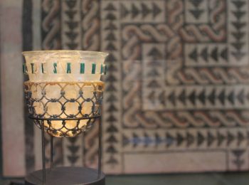 Al Museo Archeologico di Milano con Aster in novembre