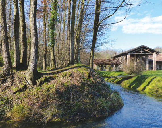 GG salvaraja robecco sul naviglio