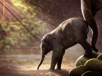 Perché insegnare ai nostri figli curiosità, coraggio, gentilezza, ottimismo e speranza