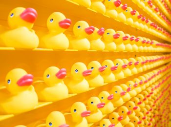 La plastica che inquina e ingrassa