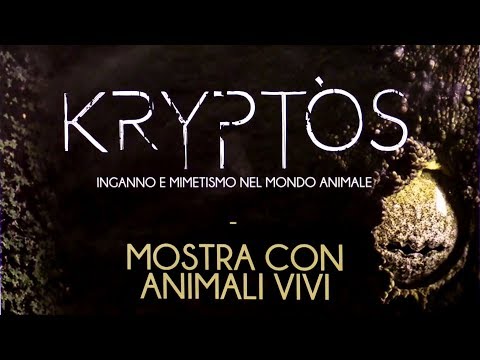 kryptos ecomuseo del freidano