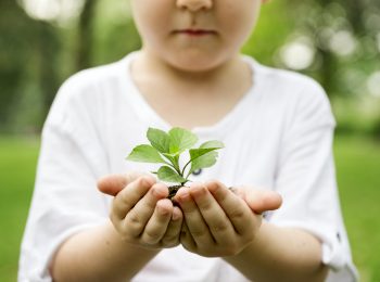 Alla scoperta della terra