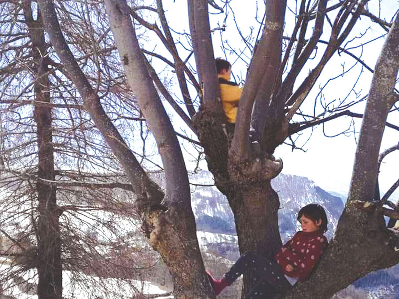 GG famiglia e homeschooling1