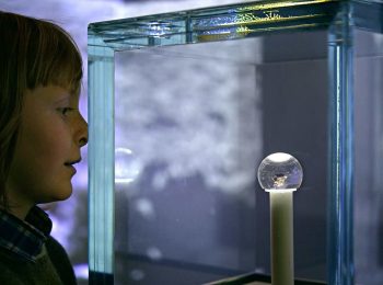 Gennaio al Museo Nazionale della Scienza e della Tecnologia di Milano