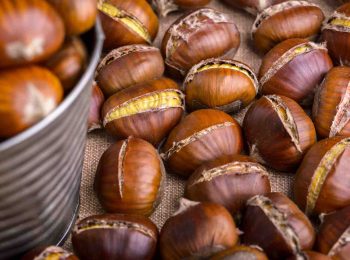 In Cascina Santa Brera gennaio è nella natura
