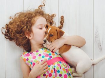“Prendiamo un cane?” Tutto quello che bisogna sapere prima