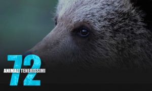 Documentari Netflix - 72 animali tenerissimi