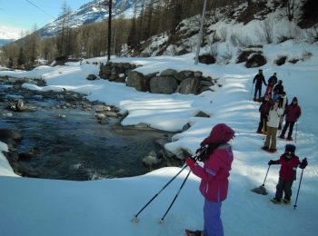 Con Naturalp a febbraio, ciaspolate sulla neve a misura di famiglia